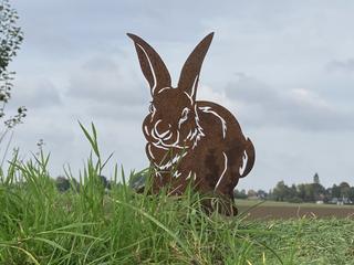 AC14 - Lapin de face